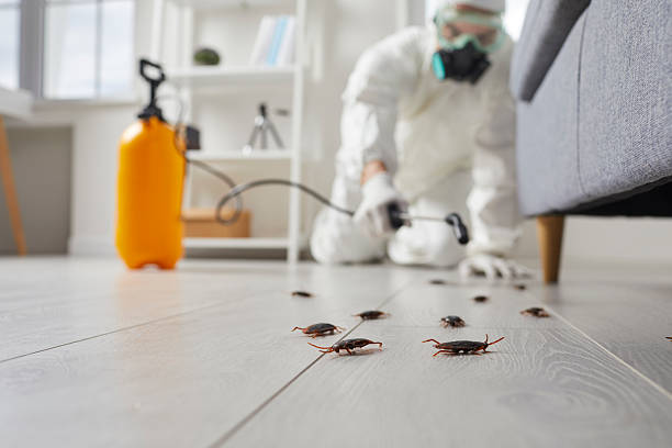Trusted Cockroach Control service in Sammamish, WA - Nex Pest Control