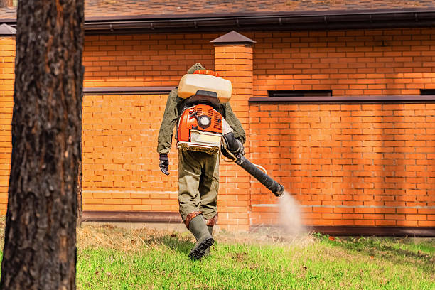 Trusted Termite Control service in Sammamish, WA - Nex Pest Control